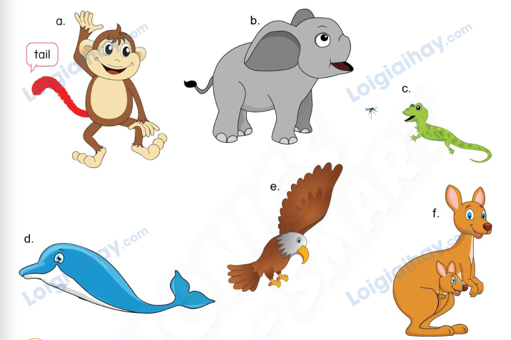 Unit 13. Animals - SBT Tiếng Anh 4 - Phonics Smart 14 1