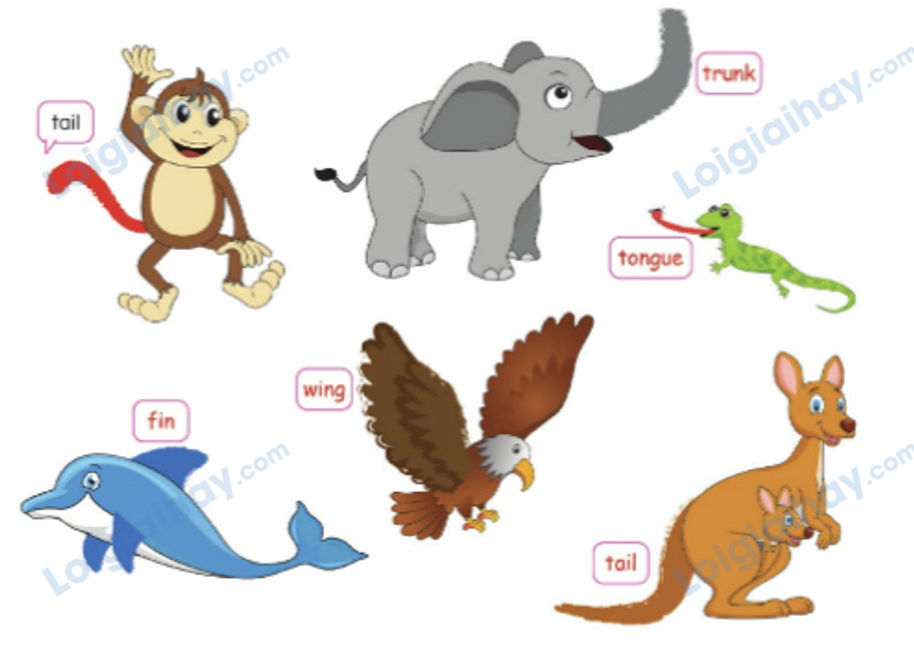 Unit 13. Animals - SBT Tiếng Anh 4 - Phonics Smart 14 2