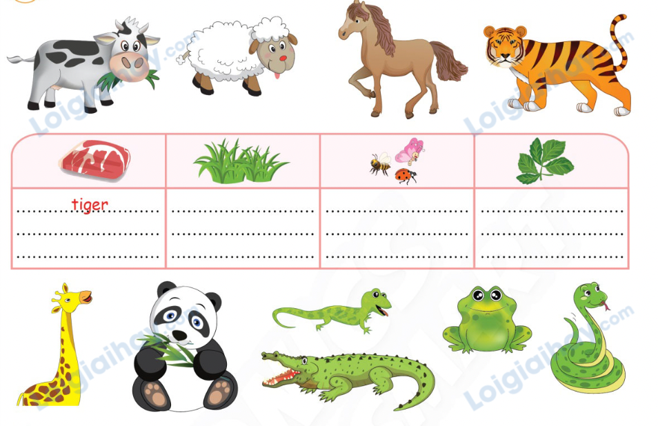 Unit 13. Animals - SBT Tiếng Anh 4 - Phonics Smart 2 1