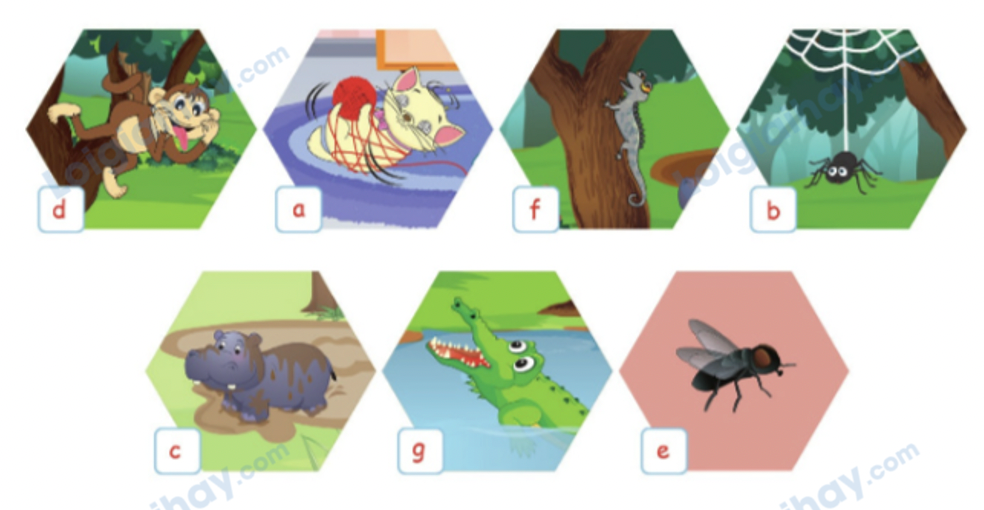 Unit 13. Animals - SBT Tiếng Anh 4 - Phonics Smart 4 2