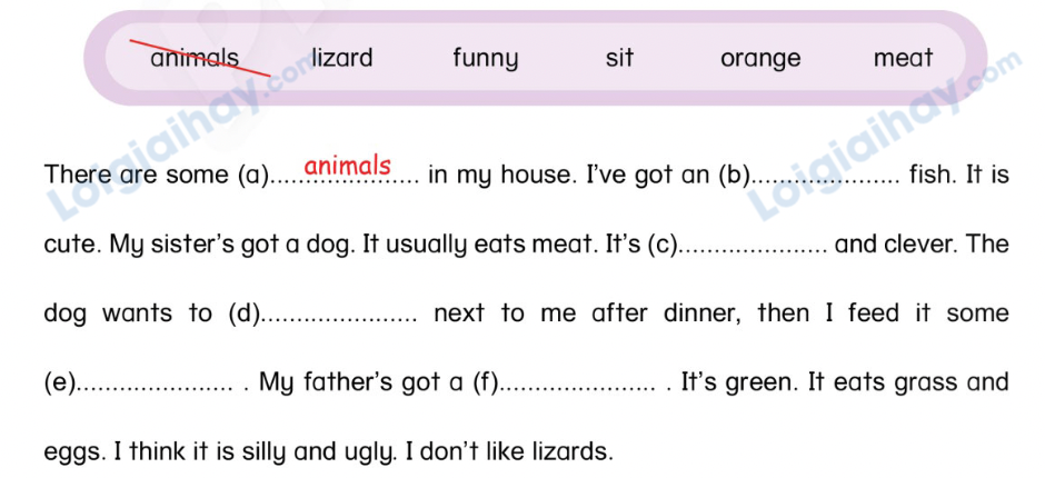 Unit 13. Animals - SBT Tiếng Anh 4 - Phonics Smart 5 1