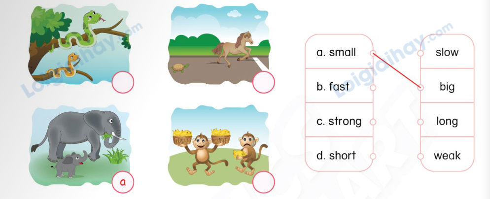 Unit 13. Animals - SBT Tiếng Anh 4 - Phonics Smart 8 1