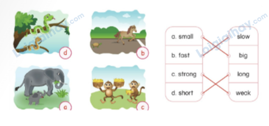 Unit 13. Animals - SBT Tiếng Anh 4 - Phonics Smart 8 2