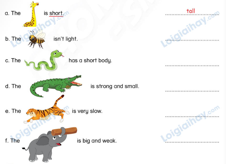 Unit 13. Animals - SBT Tiếng Anh 4 - Phonics Smart 9 1