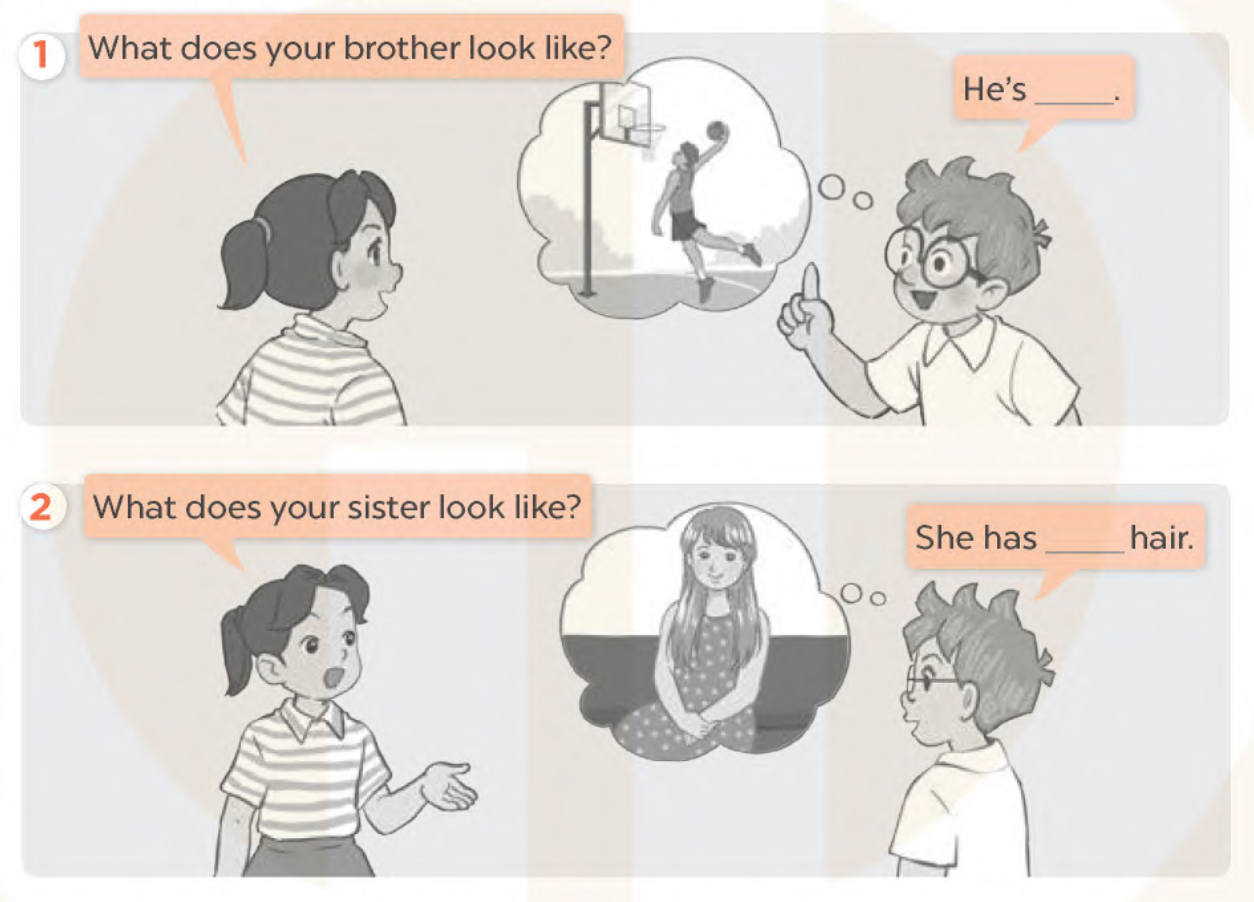 Unit 13. Appearance - SBT Tiếng Anh 4 - Global Success 6 1