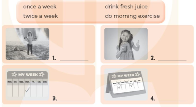 Unit 14. Staying healthy - SBT Tiếng Anh 5 - Global Success 1 1