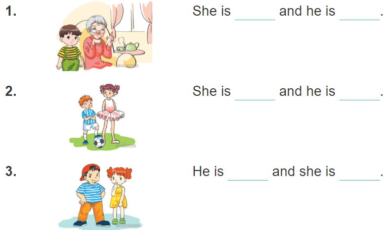 Unit 14. What does he look like? trang 56 Sách bài tập (SBT) Tiếng Anh 4 mới 2 1
