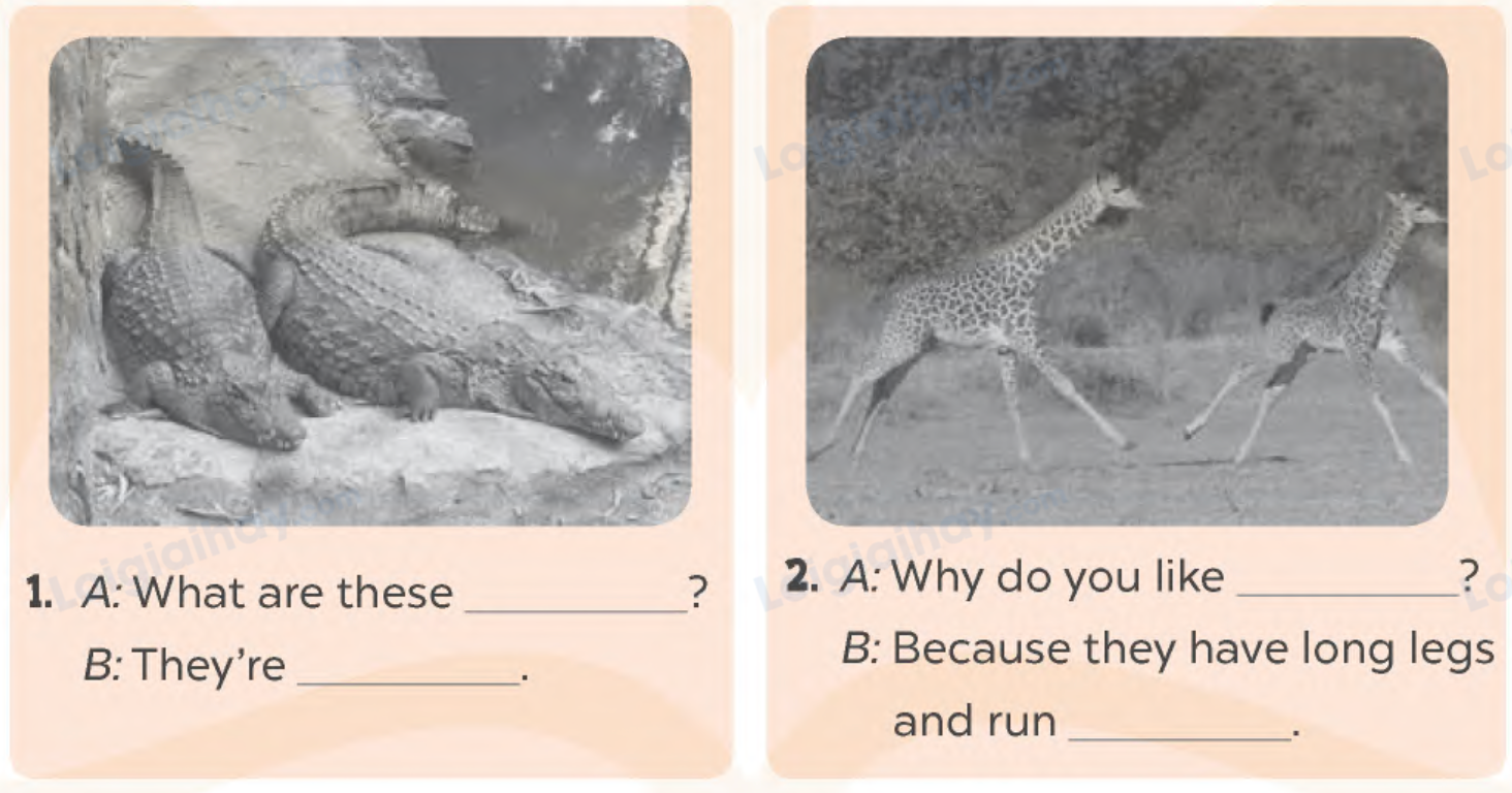 Unit 19. The animal world - SBT Tiếng Anh 4 - Global Success 2 1