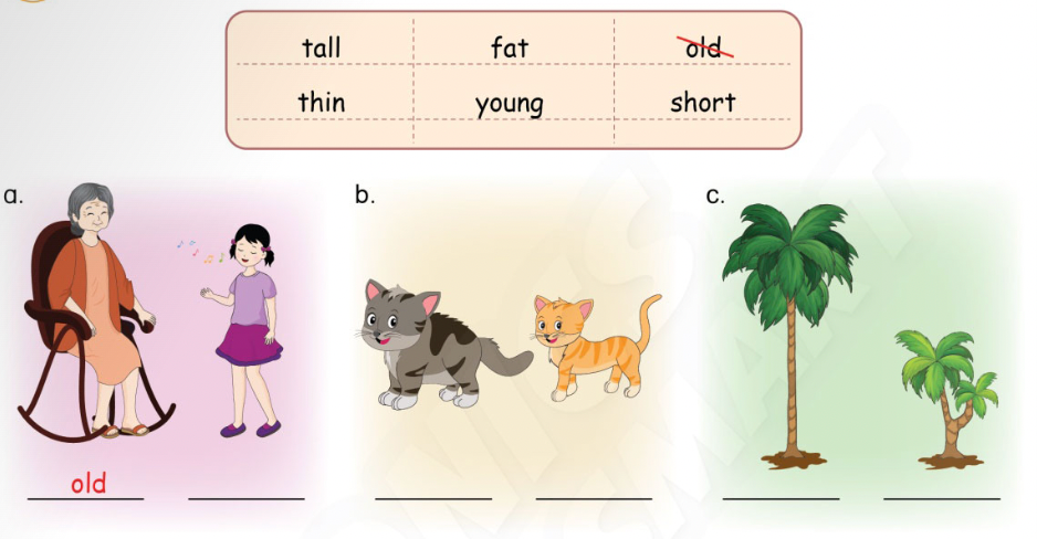 Unit 3. Appearance and personality - SBT Tiếng Anh 4 - Phonics Smart 0 1