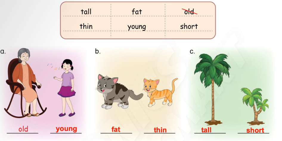 Unit 3. Appearance and personality - SBT Tiếng Anh 4 - Phonics Smart 0 2