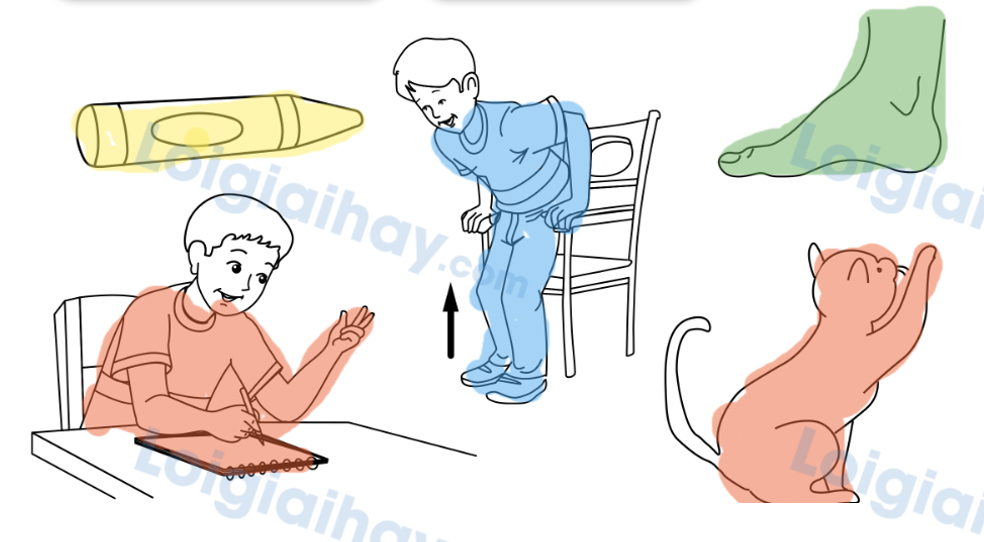 Unit 3. Fun at school - SBT Tiếng Anh 4 - Explore Our World 9 2