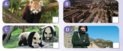 Unit 4 - Cumulative review - SBT Tiếng Anh 7 Friends Plus 3 1