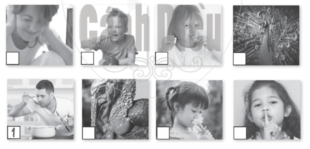 Unit 4. Our Senses - SBT Tiếng Anh 5 - Explore Our World 1 1