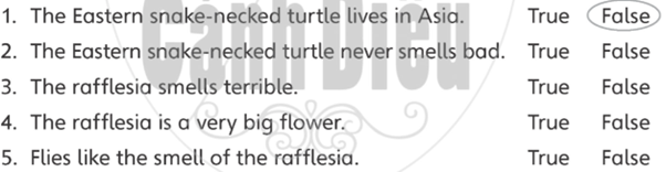 Unit 4. Our Senses - SBT Tiếng Anh 5 - Explore Our World 12 1