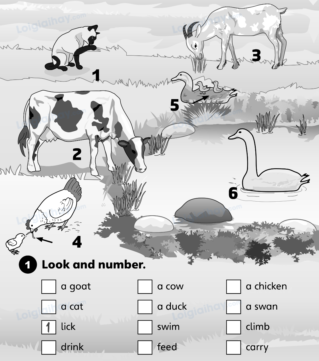 Unit 5. Animal friends - SBT Tiếng Anh 4 - Explore Our World 0 1
