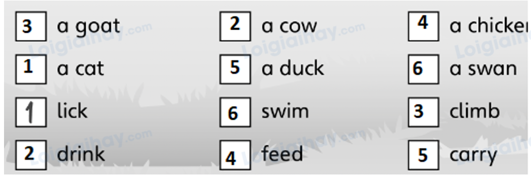 Unit 5. Animal friends - SBT Tiếng Anh 4 - Explore Our World 0 2