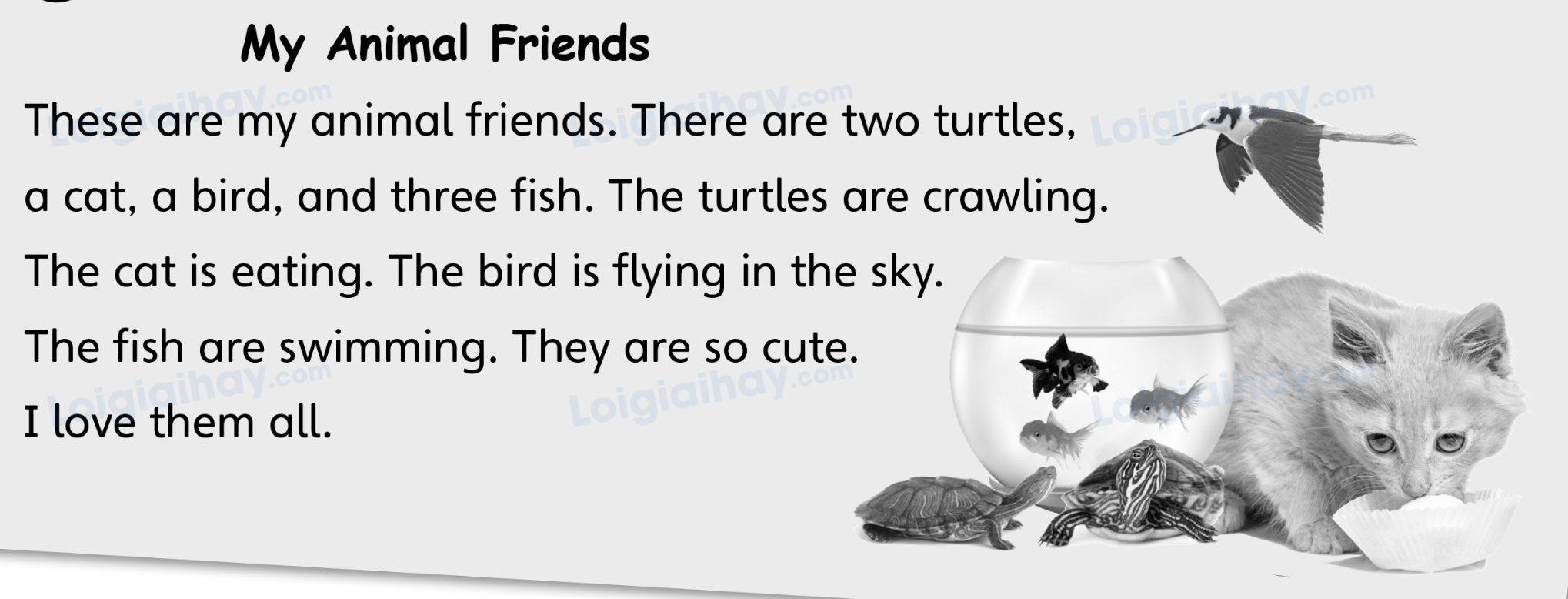 Unit 5. Animal friends - SBT Tiếng Anh 4 - Explore Our World 11 1
