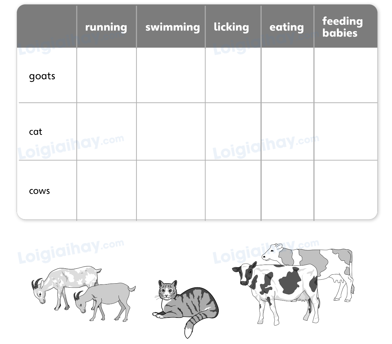 Unit 5. Animal friends - SBT Tiếng Anh 4 - Explore Our World 2 1