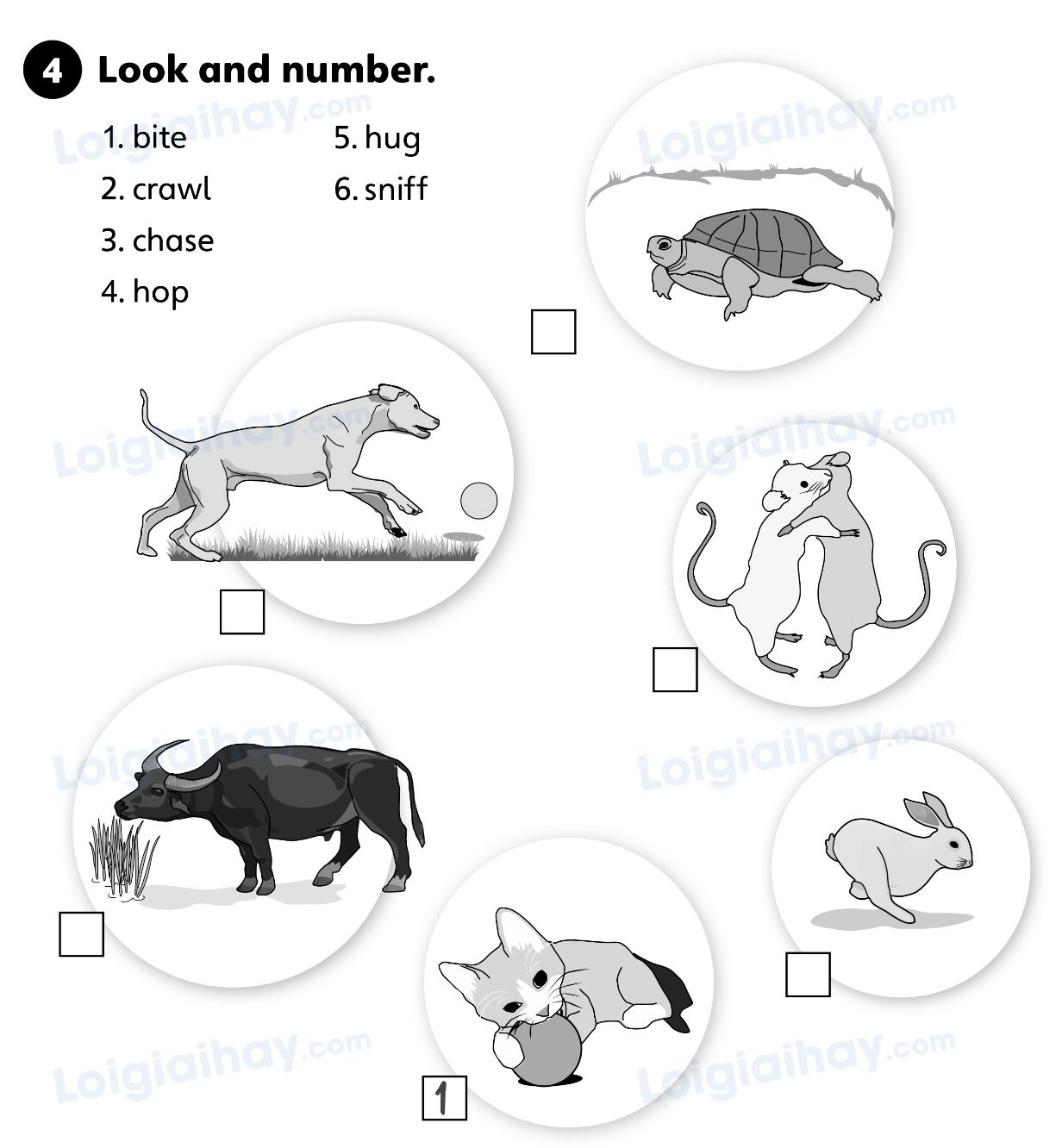 Unit 5. Animal friends - SBT Tiếng Anh 4 - Explore Our World 3 1