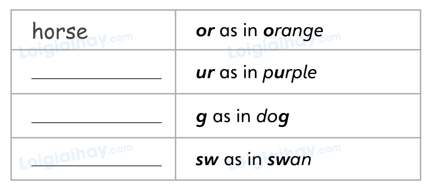 Unit 5. Animal friends - SBT Tiếng Anh 4 - Explore Our World 8 1