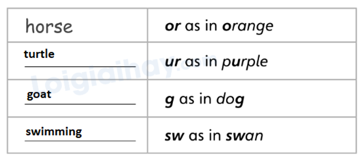 Unit 5. Animal friends - SBT Tiếng Anh 4 - Explore Our World 8 2