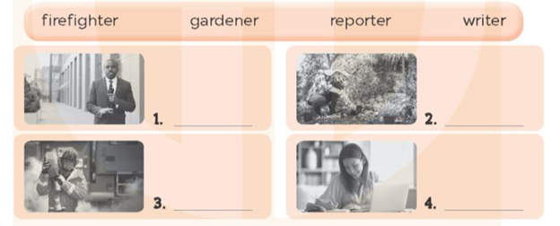 Unit 5. My future job - SBT Tiếng Anh 5 - Global Success 1 1