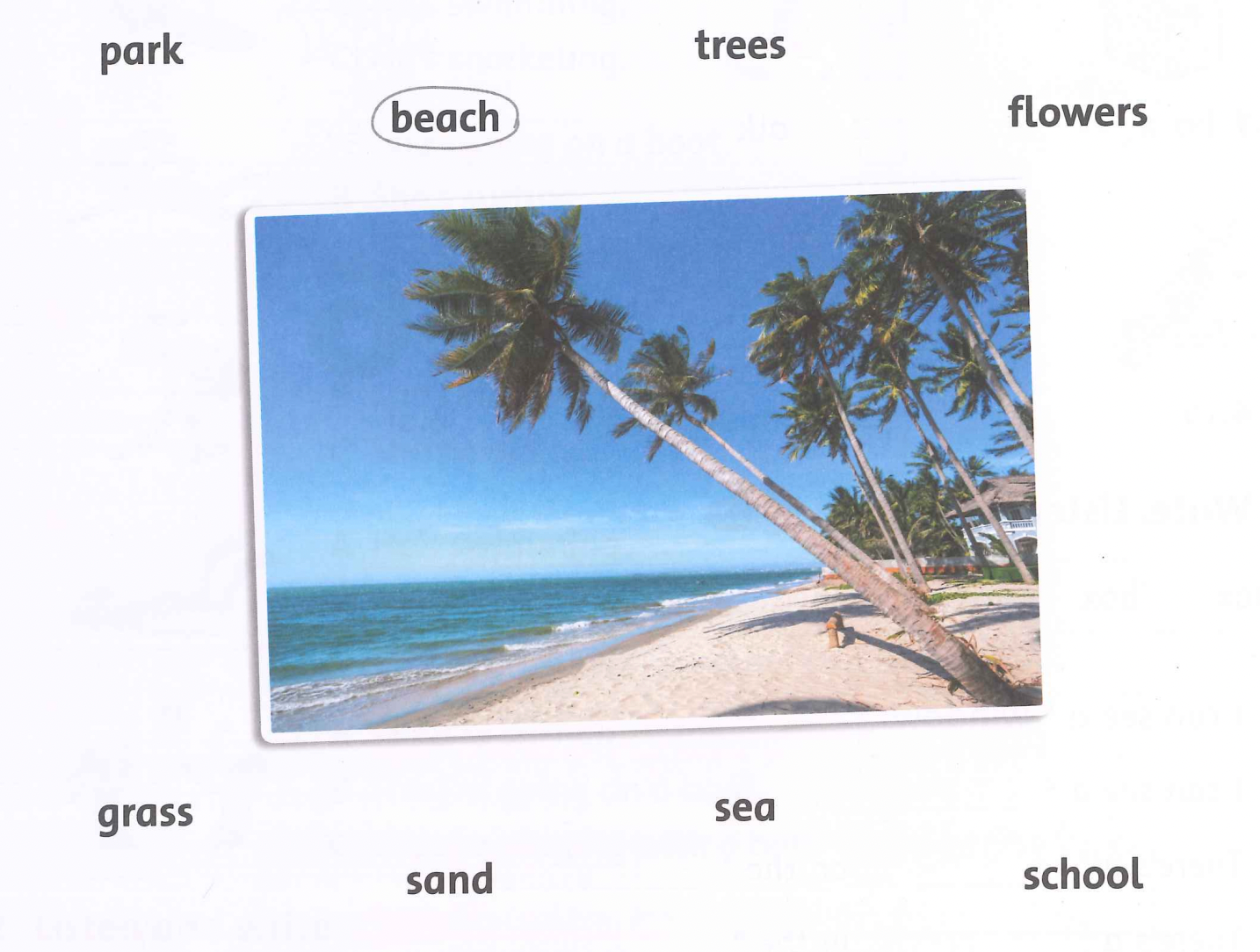 Unit 5. We’re having fun at the beach! - SBT Tiếng Anh 4 - Family and Friends 8 1