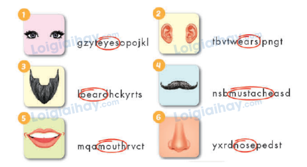 Unit 6. Describing people - SBT Tiếng Anh 4 - iLearn Smart Start 4 2