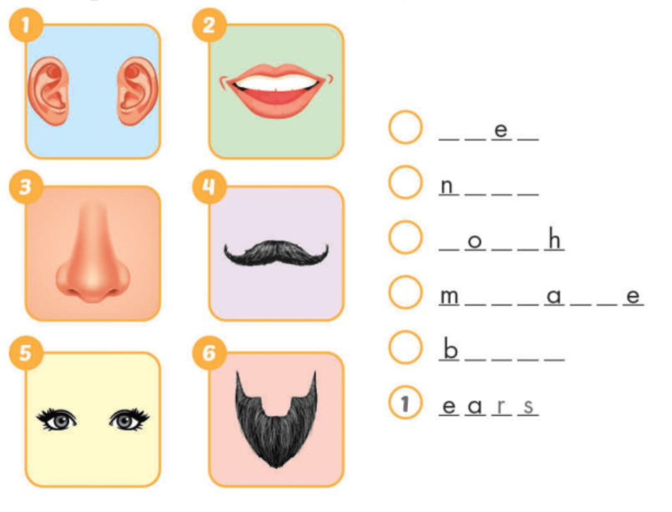 Unit 6. Describing people - SBT Tiếng Anh 4 - iLearn Smart Start 5 1