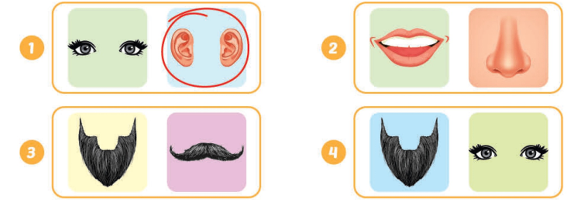 Unit 6. Describing people - SBT Tiếng Anh 4 - iLearn Smart Start 6 1