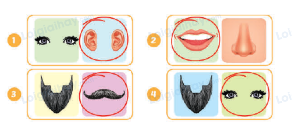 Unit 6. Describing people - SBT Tiếng Anh 4 - iLearn Smart Start 6 2