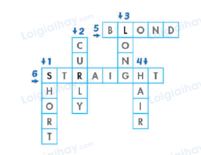 Unit 6. Describing people - SBT Tiếng Anh 4 - iLearn Smart Start 9 2