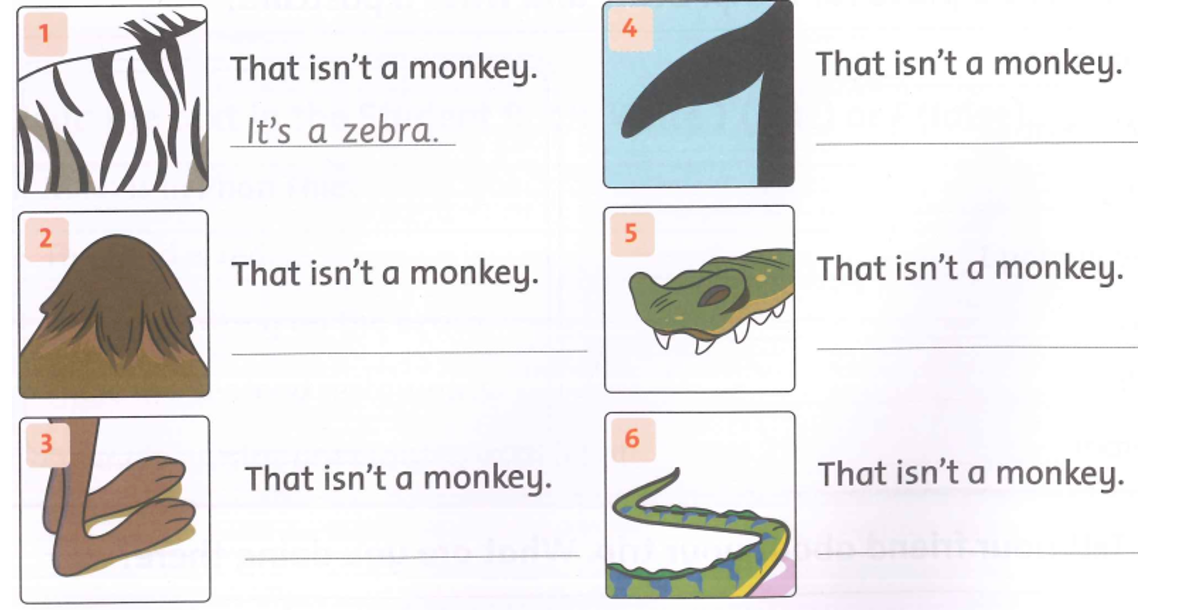 Unit 6. Funny monkeys! - SBT Tiếng Anh 4 - Family and Friends 1 1