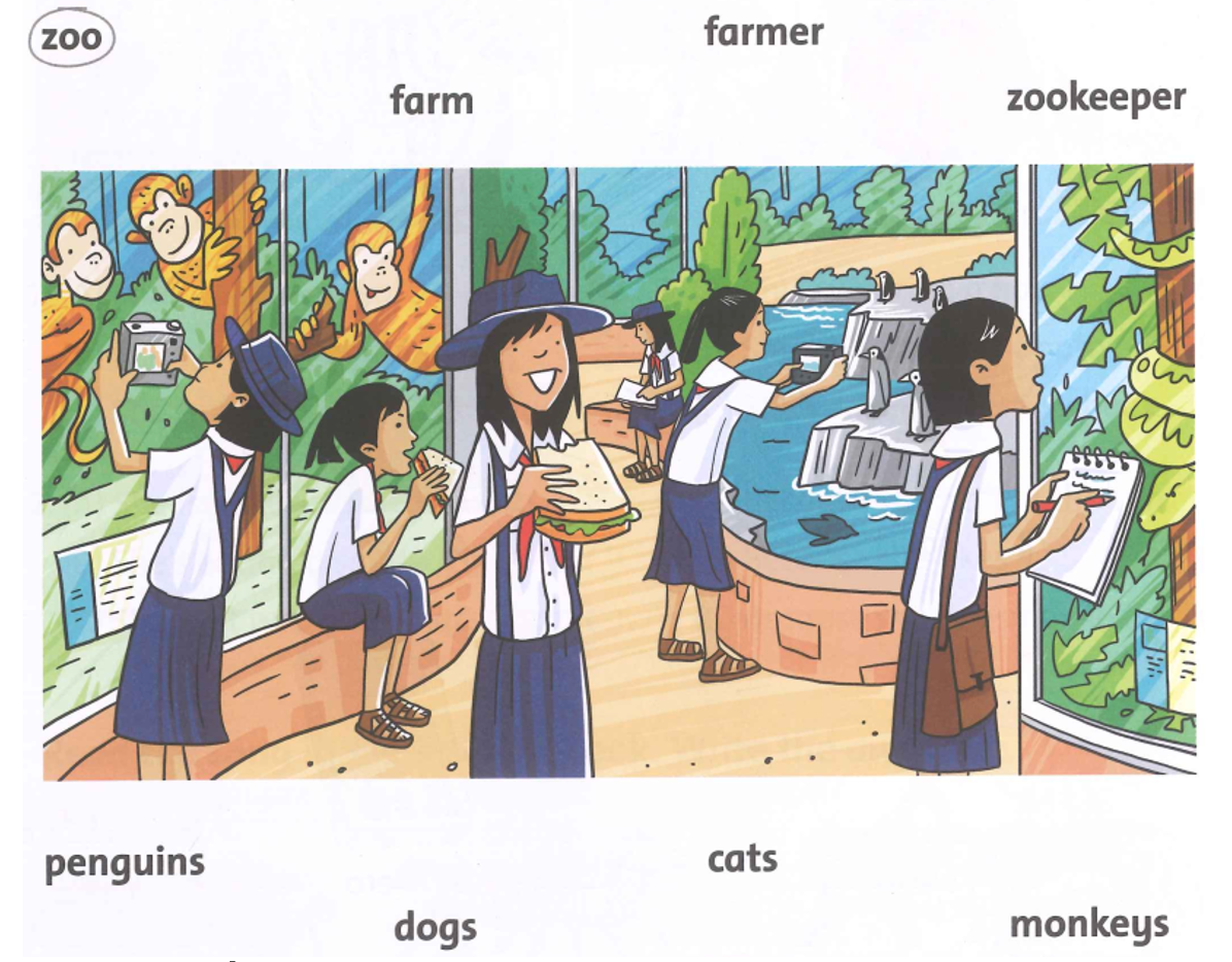 Unit 6. Funny monkeys! - SBT Tiếng Anh 4 - Family and Friends 8 1