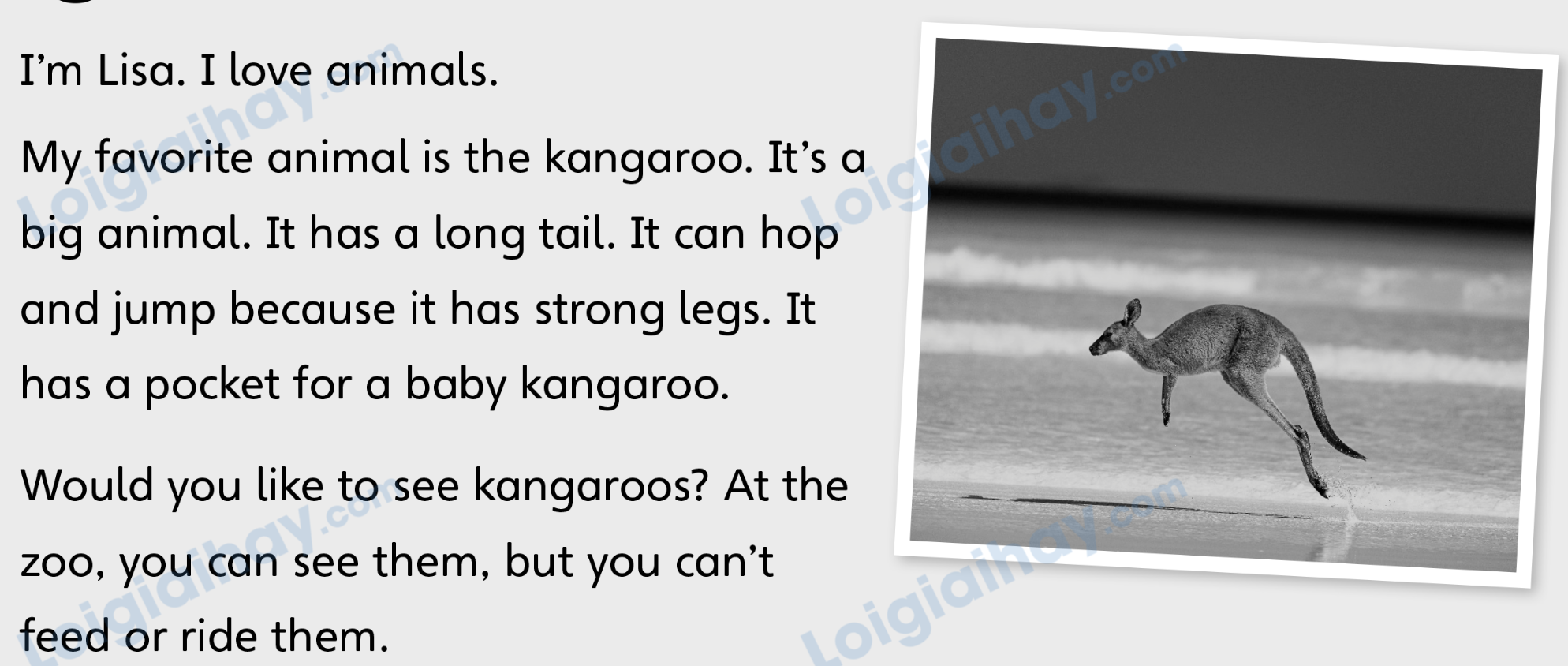 Unit 7. Awesome animals - SBT Tiếng Anh 4 - Explore Our World 11 1