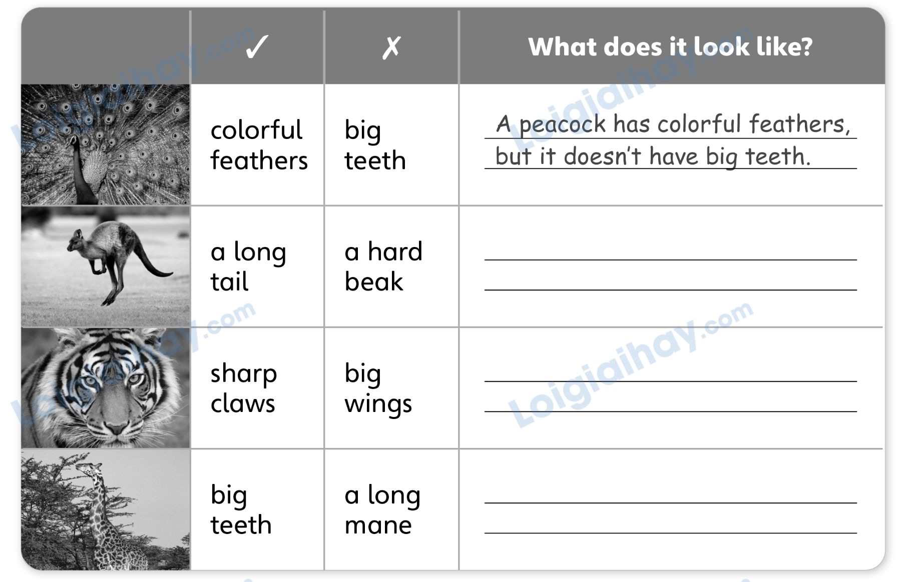 Unit 7. Awesome animals - SBT Tiếng Anh 4 - Explore Our World 3 1