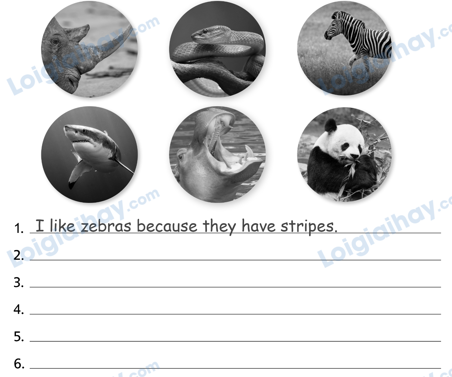 Unit 7. Awesome animals - SBT Tiếng Anh 4 - Explore Our World 6 1