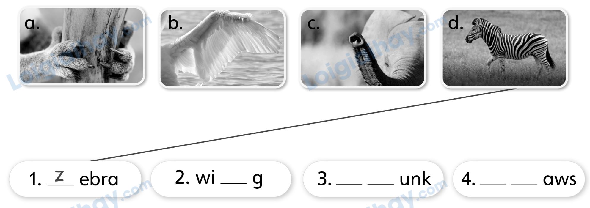 Unit 7. Awesome animals - SBT Tiếng Anh 4 - Explore Our World 8 1