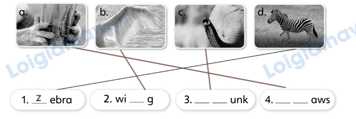 Unit 7. Awesome animals - SBT Tiếng Anh 4 - Explore Our World 8 2