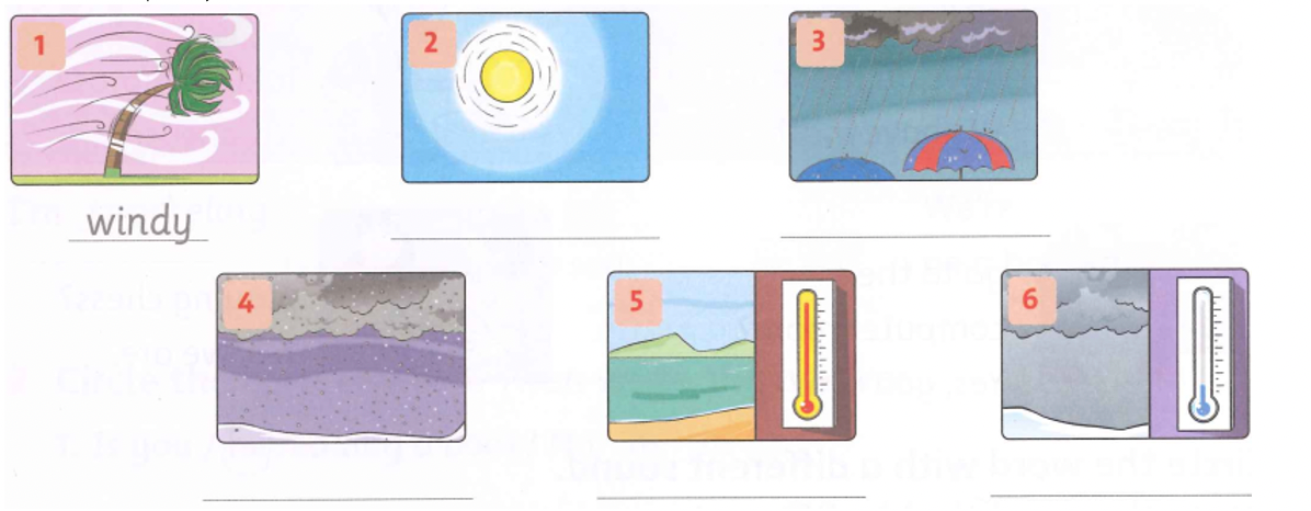 Unit 7. It isn’t cold today! - SBT Tiếng Anh 4 - Family and Friends 0 1