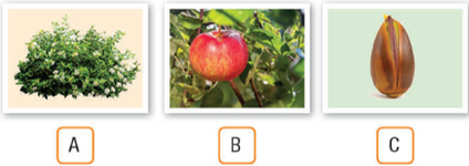 Unit 7 - Units Review - SBT Tiếng Anh 11 iLearn Smart World 0 2