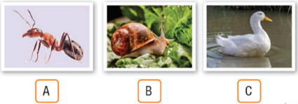 Unit 7 - Units Review - SBT Tiếng Anh 11 iLearn Smart World 0 4