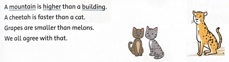 Unit 8: Mountains high, ocean deep - SBT Tiếng Anh 5 - Family and Friends 8 1