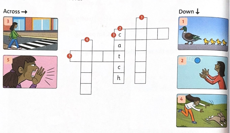 Unit 9: In the park - SBT Tiếng Anh 5 - Family and Friends 10 1