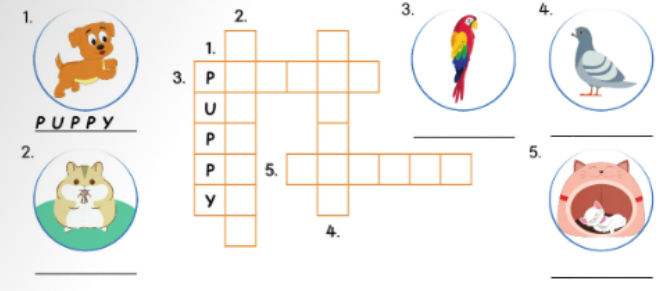 Unit 9. Pets and animals - SBT Tiếng Anh 5 - Phonics Smart 0 1