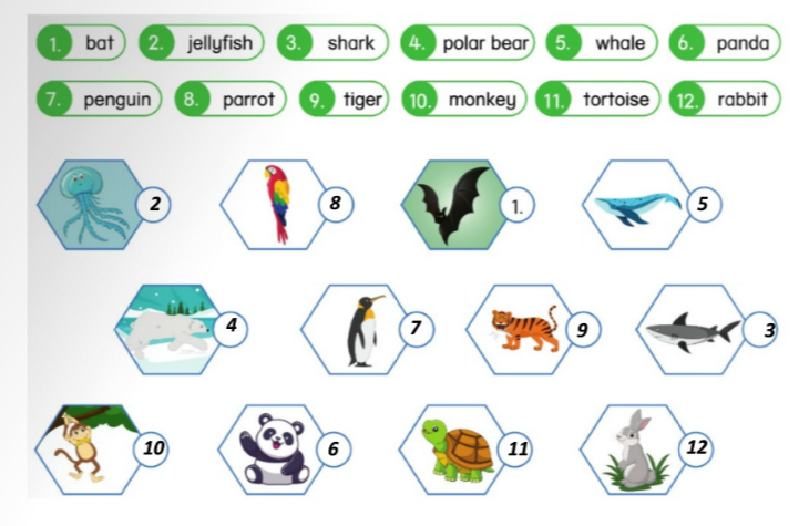 Unit 9. Pets and animals - SBT Tiếng Anh 5 - Phonics Smart 4 2