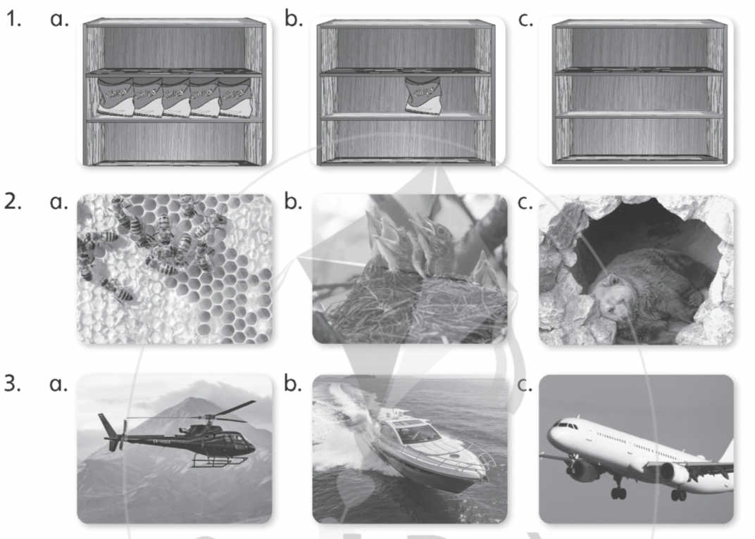 Units 1-4 Review - SBT Tiếng Anh 5 - Explore Our World 0 1