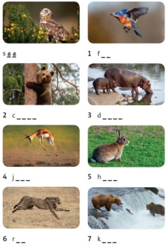 Vocabulary and Listening: Amazing animals Unit 3 SBT Tiếng Anh 6 - Friends Plus (Chân trời sáng tạo) 0 1