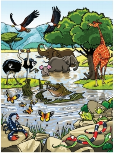 Vocabulary: Animals - Unit 3: Wild life SBT Tiếng Anh 6 - Friends plus (Chân trời sáng tạo) 1 1