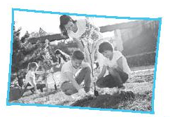 Vocabulary & Grammar - Unit 3: Community service - SBT Tiếng Anh 7 Global Success 0 2